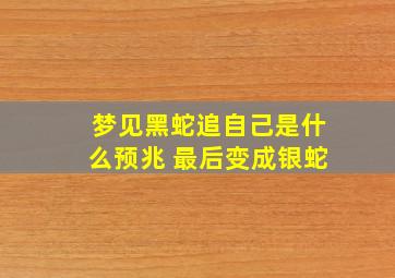 梦见黑蛇追自己是什么预兆 最后变成银蛇